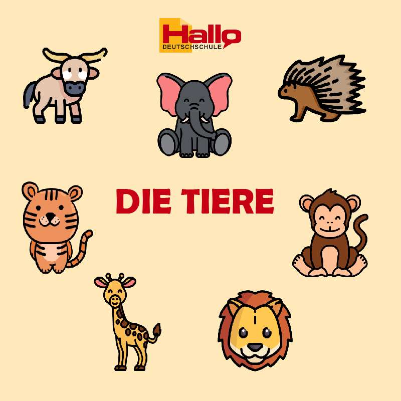 Tên các loài động vật trong tiếng Đức- Das Tiere